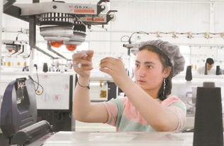 新疆生产建设兵团 固边兴疆，兵地富余劳动力转型产业工人助力针纺织业发展